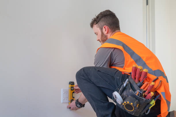 Best Licensed Electrician  in Raymond, IL