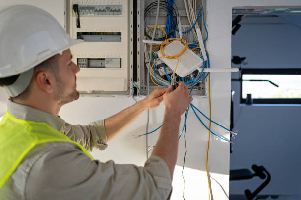 Best Electrical Repair Services  in Raymond, IL